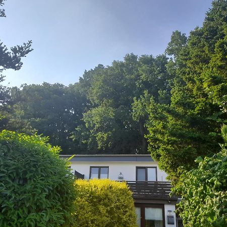 Apartment Am Waldrand 1 Person ,Gemuetlich, Nichtraucher Itzehoe Luaran gambar